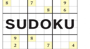 The-Daily Diagonal Sudoku